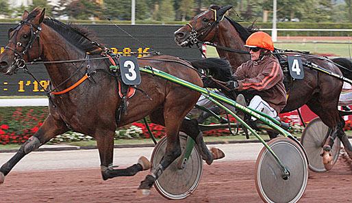 Mit Pferden der Klasse bis 267.000 Euro besitzt der Prix Grace Ducal den höchsten Stellenwert
