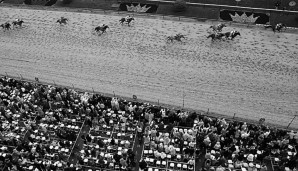 Beim Galopp-Klassiker Preakness Stakes sind zwei Pferde gestorben
