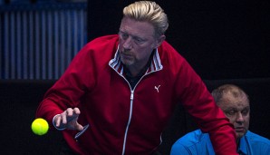 Boris Becker sollte weiter als Trainer arbeiten