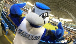 Ace - Toronto Blue Jays (MLB): Ace ist unschwer zu erkennen ein Blaufink und seit 2004 das Maskottchen des einzigen MLB-Teams in Kanada. Als Ace bezeichnend man im Übrigen auch den besten Starting Pitcher eines Teams