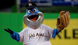 Billy the Marlin - Miami Marlins (MLB): Natürlich haben die Marlins einen solchen als Maskottchen. Marlins gehören zur Gattung "Billfish" und Billy können sich Kinder besser marken als kompliziertere Namen, so die Theorie