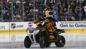 Sabretooth - Nashville Predators (NHL): Der Säbelzahntiger seilt sich vor jedem Spiel vom Dach zu Eis ab und fährt mit einem ATV übers Eis. Zudem har er ein Haus im KeyBank Center und bedient die T-Shirt-Kanone