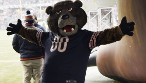 Staley Da Bear - Chicago Bears (NFL): Bär, klar. Aber Staley? Nun, die Bears hießen zuerst Decatur Staleys, benannt nach dem Gründer des Teams, A.E. Staley. Hättet Ihr das gewusst?