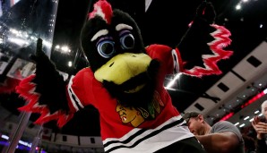 Tommy Hawk - Chicago Blackhawks (NHL): Man beachte die berühmten vier Federn der Blackhawks, die Tommy auf dem Kopf trägt