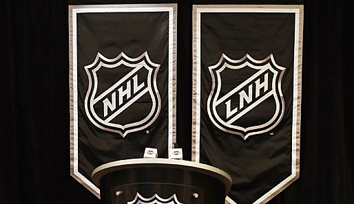 Der Lockout ist beendet - die NHL startet am 19. Januar in die neue Saison