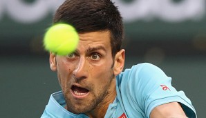 Novak Djokovic möchte seinen Acapulco-Erfolg gegen "DelPo" wiederholen