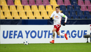 Sandro Ingolitsch: Als Kapitän führte er Salzburgs U18 zum Youth-League-Titel. Zwar reichte es danach nicht für die erste Mannschaft, hat sich aber unmittelbar beim SKN St. Pölten eingefügt und hält mit 23 Jahren bei 66 Bundesliga-Partien.