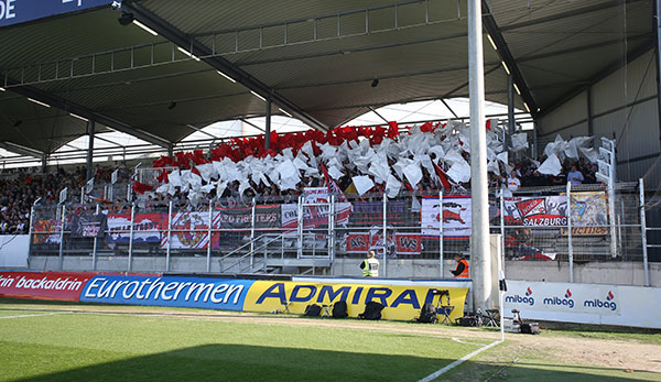 Der Salzburg-Fansektor in der TGW-Arena.