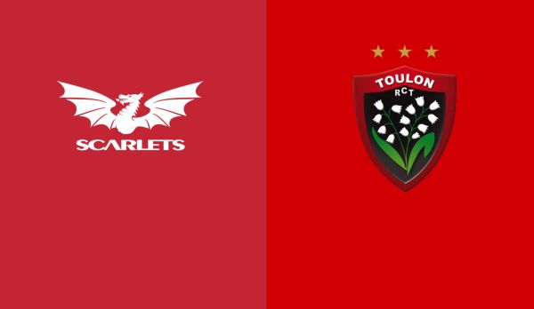 Scarlets - Toulon am 11.01.