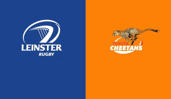 Leinster - Cheetahs am 15.02.
