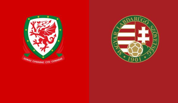 Wales - Ungarn am 19.11.