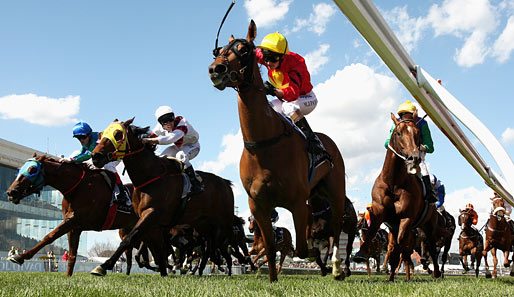 Beim Caulfield Guineas Day in Melbourne werden die schnellsten Pferde gesucht. Michelle Payne treibt Allez Wonder zum Sieg beim David Jones Toorak Handicap