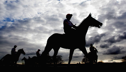 Auf dem Plumpton Racecourse in East Sussex machen Pferd und Reiter eine besonders gute Figur