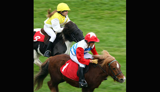 Wie die Großen: Voller Einsatz von Mensch und Tier bei der Andy Stewarty Charitable Foundation Shetland Pony Derby Race im englischen Plumpton