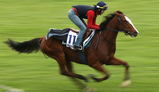 So schön kann Reitsport sein: Auf dem Sandown Racecourse in Melbourne war Rennpferd Warringah unterwegs