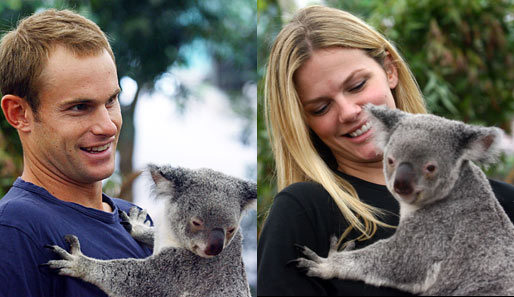 Da leuchten Andy Roddicks große Augen: Mit der modelnden Ehefrau und einem putzigen Koalabärchen in Brisbane - was will man mehr