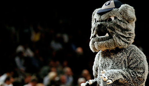 "Grrrrrrrrrr....." - Das Maskottchen der Georgetown Hoyas mit gewohnt guter Laune beim College Basketball im Madison Square Garden