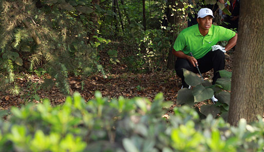 Sucht Tiger Woods etwa ein stilles Örtchen in den Wäldern von Shanghai? Beim HSBC Champions in China geht's wahrlich ins Grüne