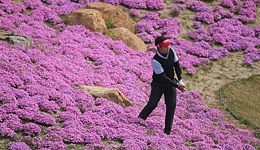Blumen mag doch jeder! Chinnarat Phadungsil ist beim Ballantine's Championship in Südkorea ein bisschen vom Weg abgekommen