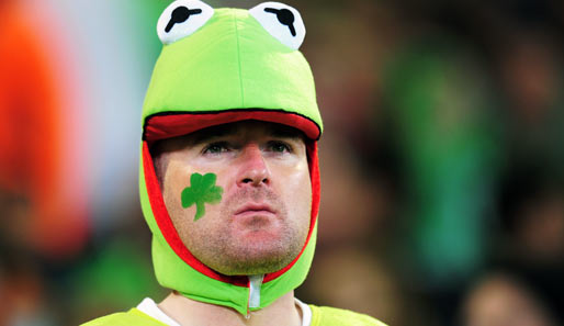 Dieser irische Frosch saugt die Atmosphäre bei der Rugby-WM-Partie zwischen seinen Iren und Italien mit jeder Faser seines Körpers auf