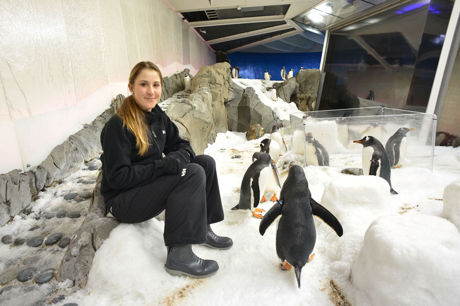 Was macht man, wenn man bei 43 Grad Celsius spielfrei hat? Richtig, man hängt mit den Pinguinen rum. Bravo, Belinda Bencic!