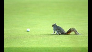 Golf - ein Spiel für Jung und Alt, für Mann und Frau, für Mensch und Tier