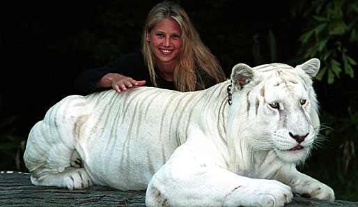 Dem weißen Tiger gefällt es anscheinend auch, mit Anna Kournikova zusammen zu sein