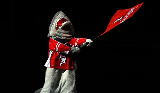 Der Hai in der Krise: Für die Kölner Eishockeymannschaft geht es derzeit abwärts