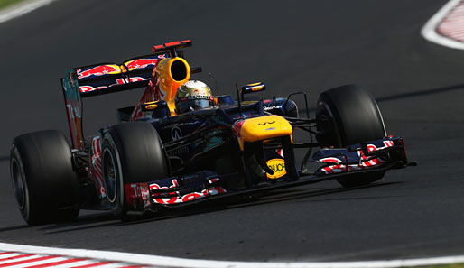Sebastian Vettel ist nicht der einzige Fahrer im Red Bull, der Weltmeister werden darf