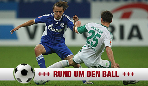 Rafinha spielt seit 2005 für die Schalker