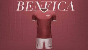 Der Spitzname Adler, den Benfica Lissabon trägt, ist ausschlaggebend für das gewählte Wappen. Eigentlich sitzt er auf dem normalen Emblem, hier ist er das Emblem. Garniert von viel rot.
