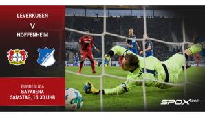 Der Punkteschnitt von Bayer 04 Leverkusen gegen 1899 Hoffenheim (2,25) ist höher als gegen jeden anderen aktuellen Bundesligisten.