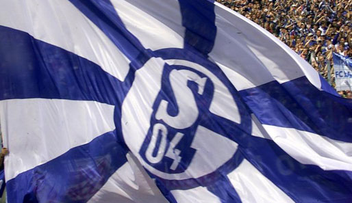 Schalke, Bundesliga