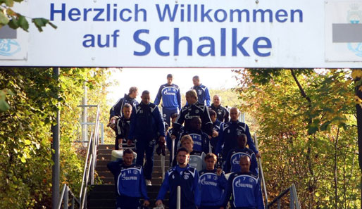 Der FC Schalke absolviert in der Vorbereitung ein Testspiel gegen Top Oss