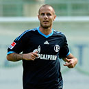 Nicolas Plestan, Schalke 04