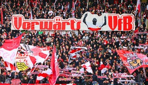 Die Fans des VfB dürfen sich vielleicht bald über einen Neuzugang freuen