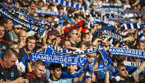Joe Zinnbauer baut gegen Bremen auf die Unterstützung der Fans