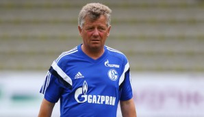 Peter Hermann wird neuer Co-Trainer beim HSV