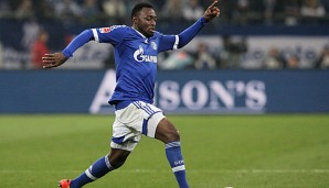Obasi war zuletzt für die Königsblauen aus Schalke aktiv