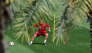Training unter Palmen: Der FC Bayern in Katar