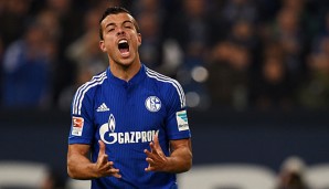 Franco di Santo kommt beim FC Schalke noch nicht richtig in Schwung