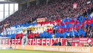 Die Fans von Mainz 05 freuen sich auf ein neues Talent