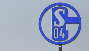 Schalke 04 bietet künftig Camps in Belgien, Luxemburg und den Niederlanden an