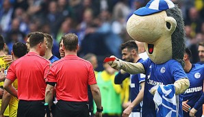 Gibt es ein Nachspiel für Schalke-Maskottchen Erwin?