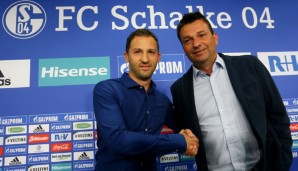 Domenico Tedesco wurde am Mittwoch als neuer Schalke-Trainer präsentiert