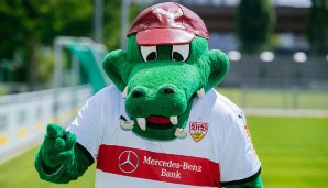 Platz 8: VfB Stuttgart - GAZI - 1,5 Millionen