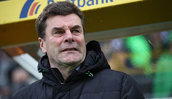 Dieter Hecking an der Seitenlinie von Borussia Mönchengladbach