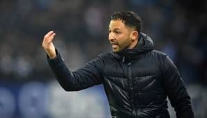 Schalke-Coach Domenico Tedesco: HSV spielt "frischen Fußball."