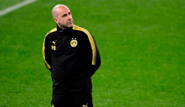 Peter Bosz war im Jahr 2017 für Borussia Dortmund aktiv - kommt er nach Leverkusen?