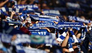 Schalke 04 ist aktuell Tabellenzehnter der Bundesliga.